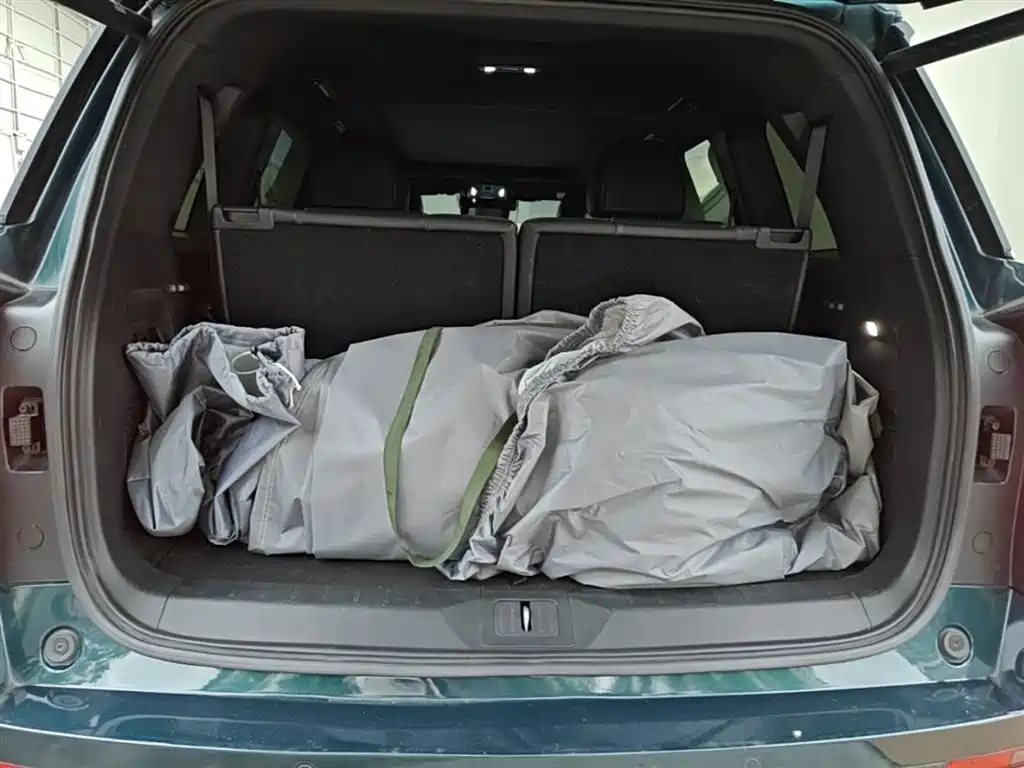 GAC Trumpchi Trumpchi GS8 2022 Pilot Series 2.0TGDI 2WD Premium Edition (6-Seater) фото 19