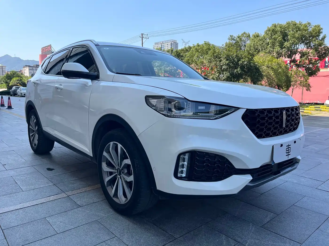 WEY VV6 2019 2018 2.0T 2WD Flagship China V