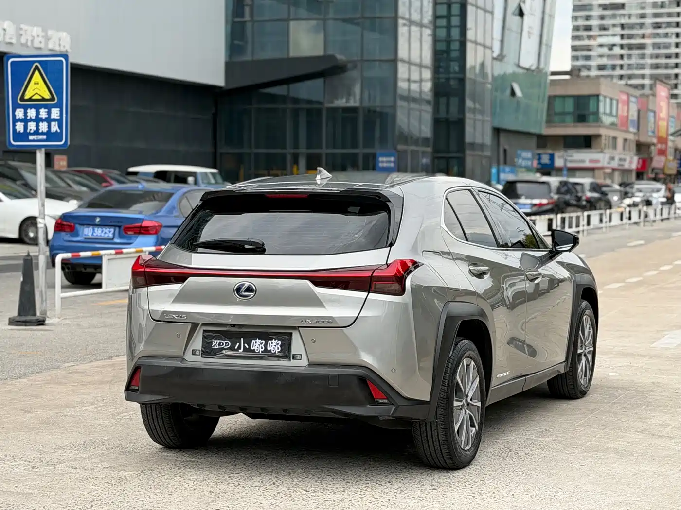 Lexus UX Electric 2020 300e Pure Yue Edition фото 10