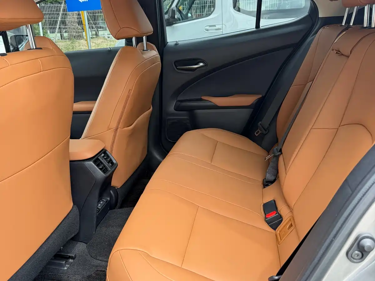 Lexus UX Electric 2020 300e Pure Yue Edition фото 6