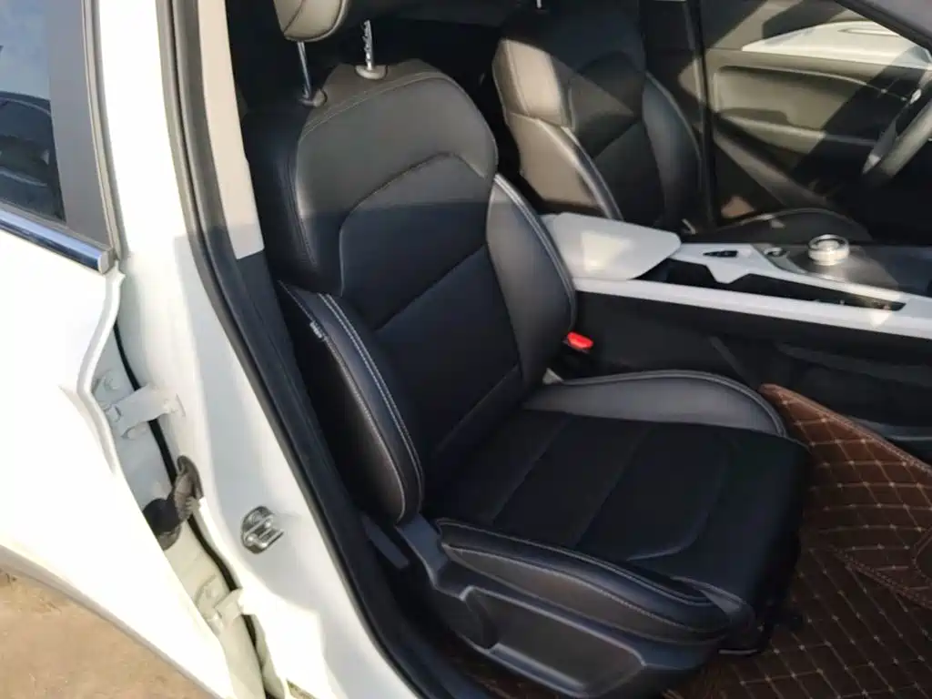 Geely Geometry C 2021 2020 Preferred Range Edition 400KM C+ Pro