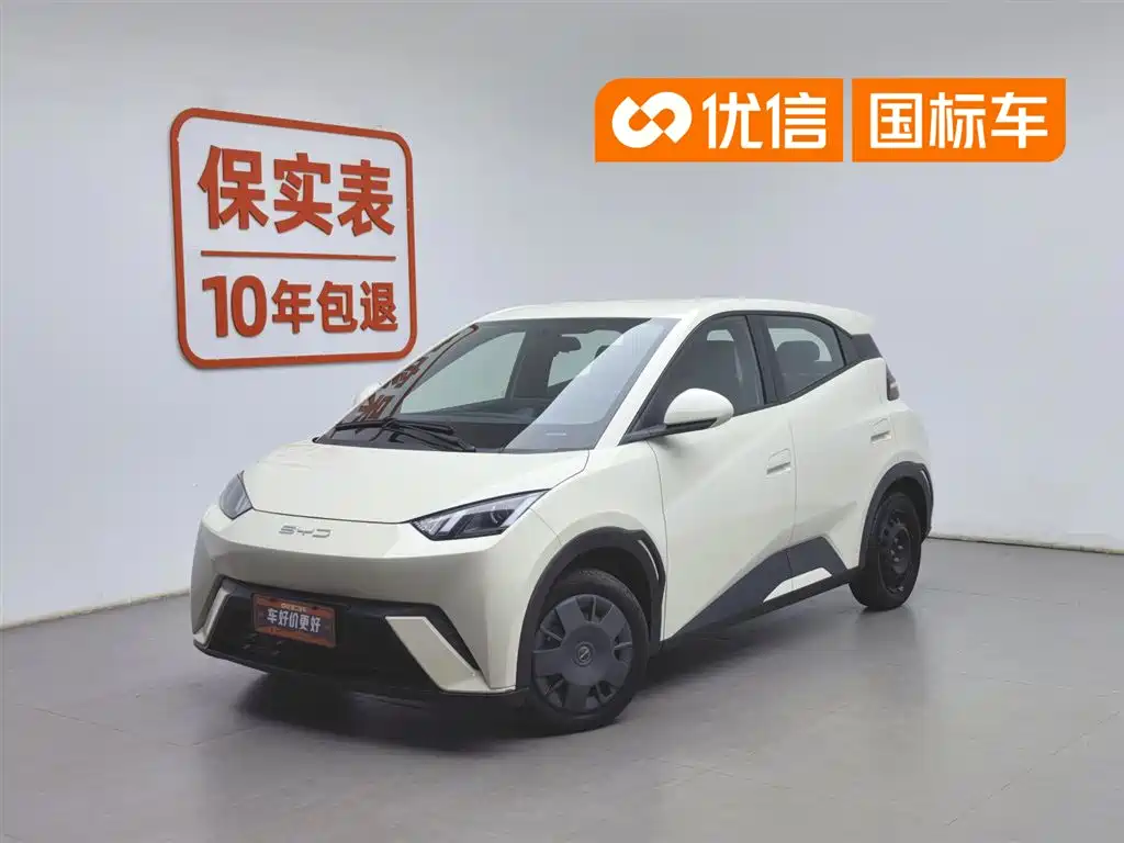 BYD Seagull 2023 Vitality Edition