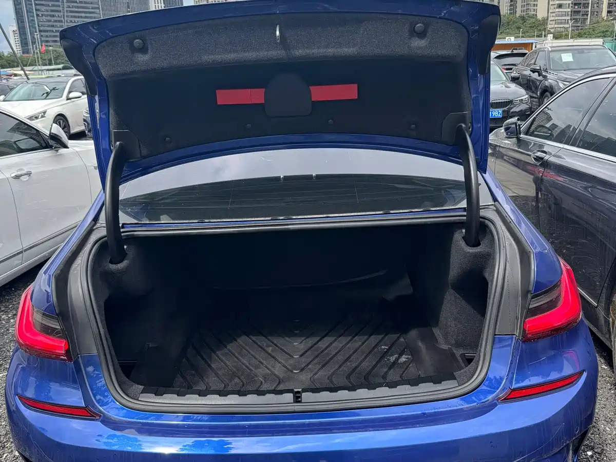 BMW 3 Series 2020 325Li M Sport Black Night Package фото 9