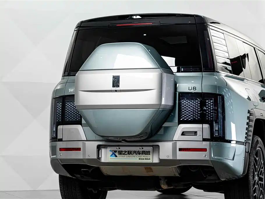 Yangwang U8 2024 2023 Luxury Edition