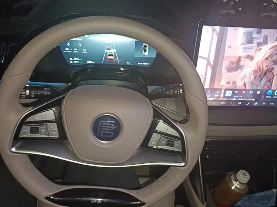BYD Tang New Energy 2025 DM-i 115KM Flagship фото 12