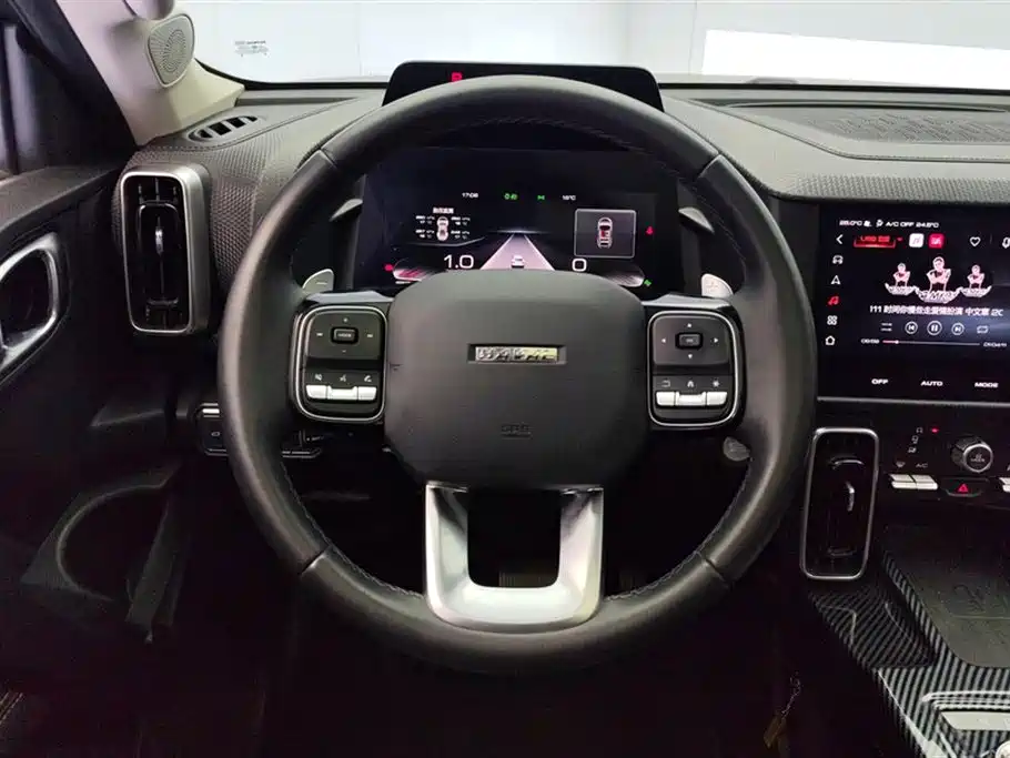 Haval Big Dog 2021 2.0T DCT 4WD Chinese Rural Dog Edition фото 15