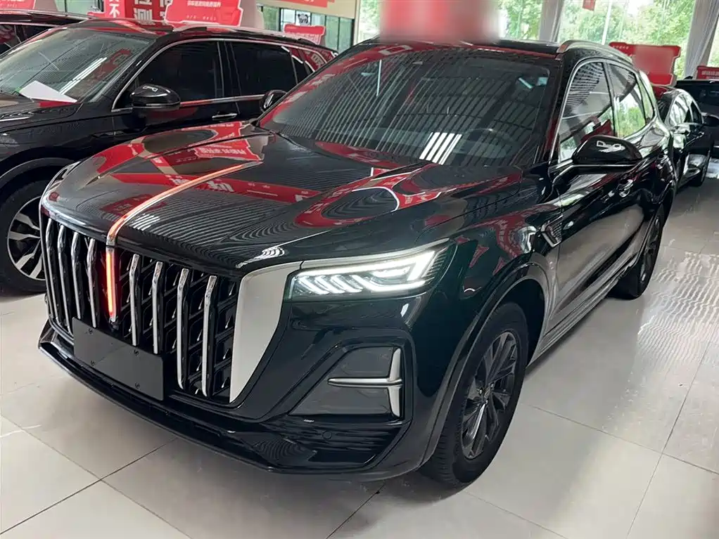 Hongqi HS5 2023 2.0T Flag Enjoy Pro Edition фото 9