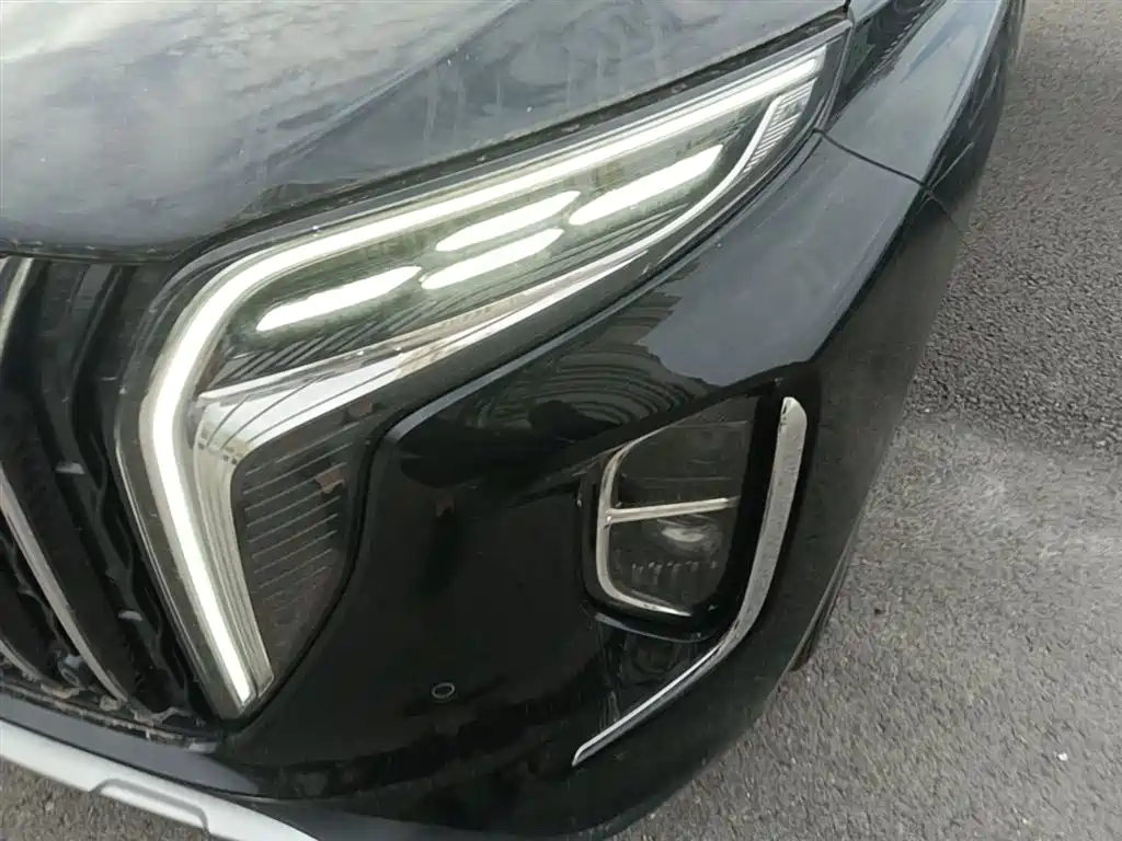 Hongqi HS7 PHEV 2024 2.0T PHEV AWD Qichang Edition 7-seater фото 24
