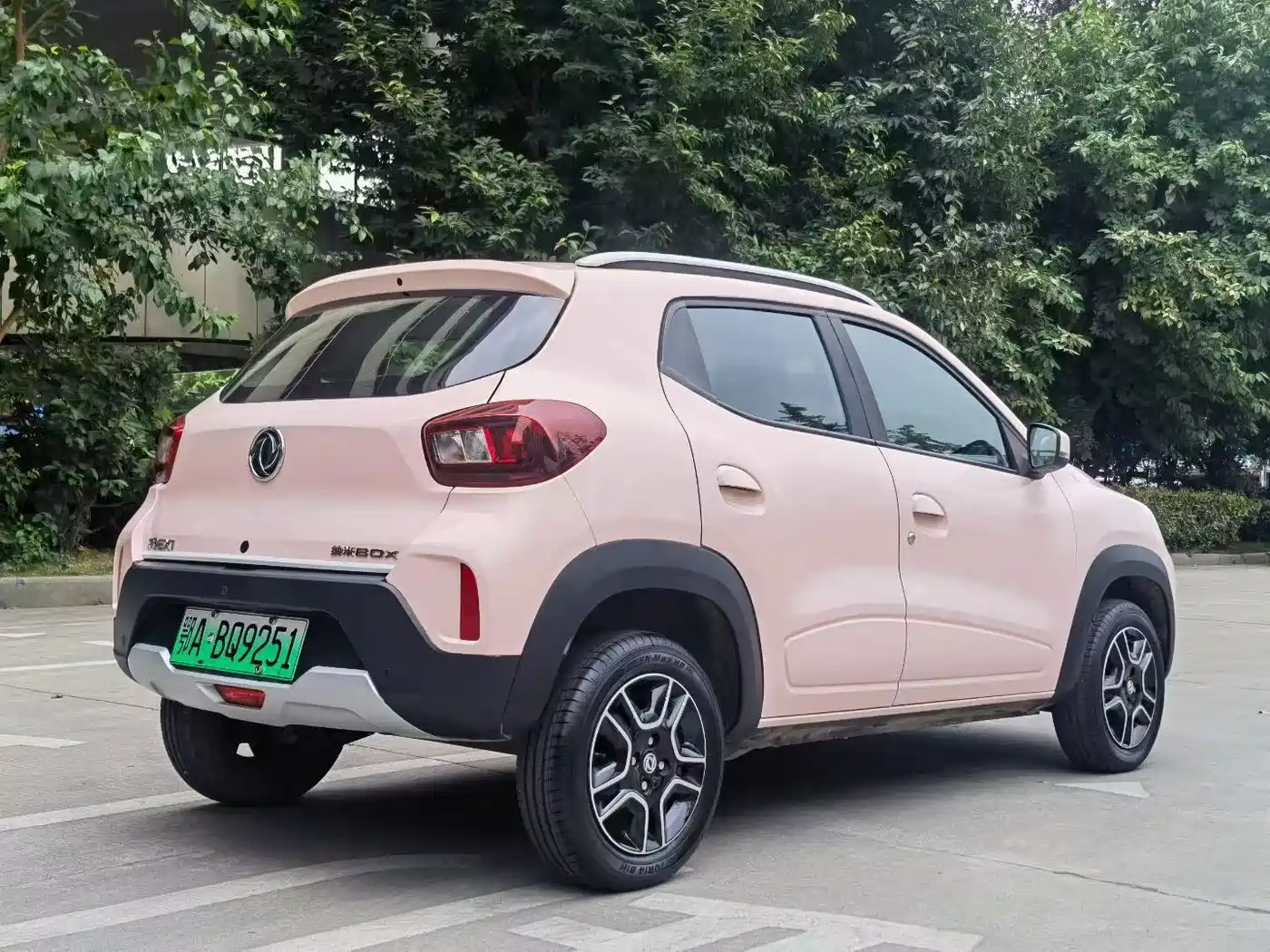 Dongfeng Yipai Nano BOX 2023 2022 Wind Chaser Edition 331KM Standard