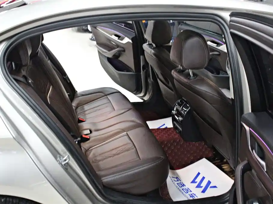 BMW 5 Series 2018 530Li Leading Luxury Package фото 13