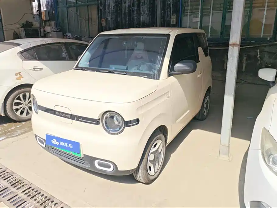 Geely Galaxy Panda 2025 Panda mini 210km Vitality Bear