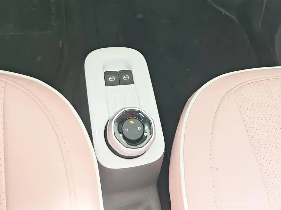 Geely Galaxy Panda 2025 Panda mini 210km Vitality Bear фото 16
