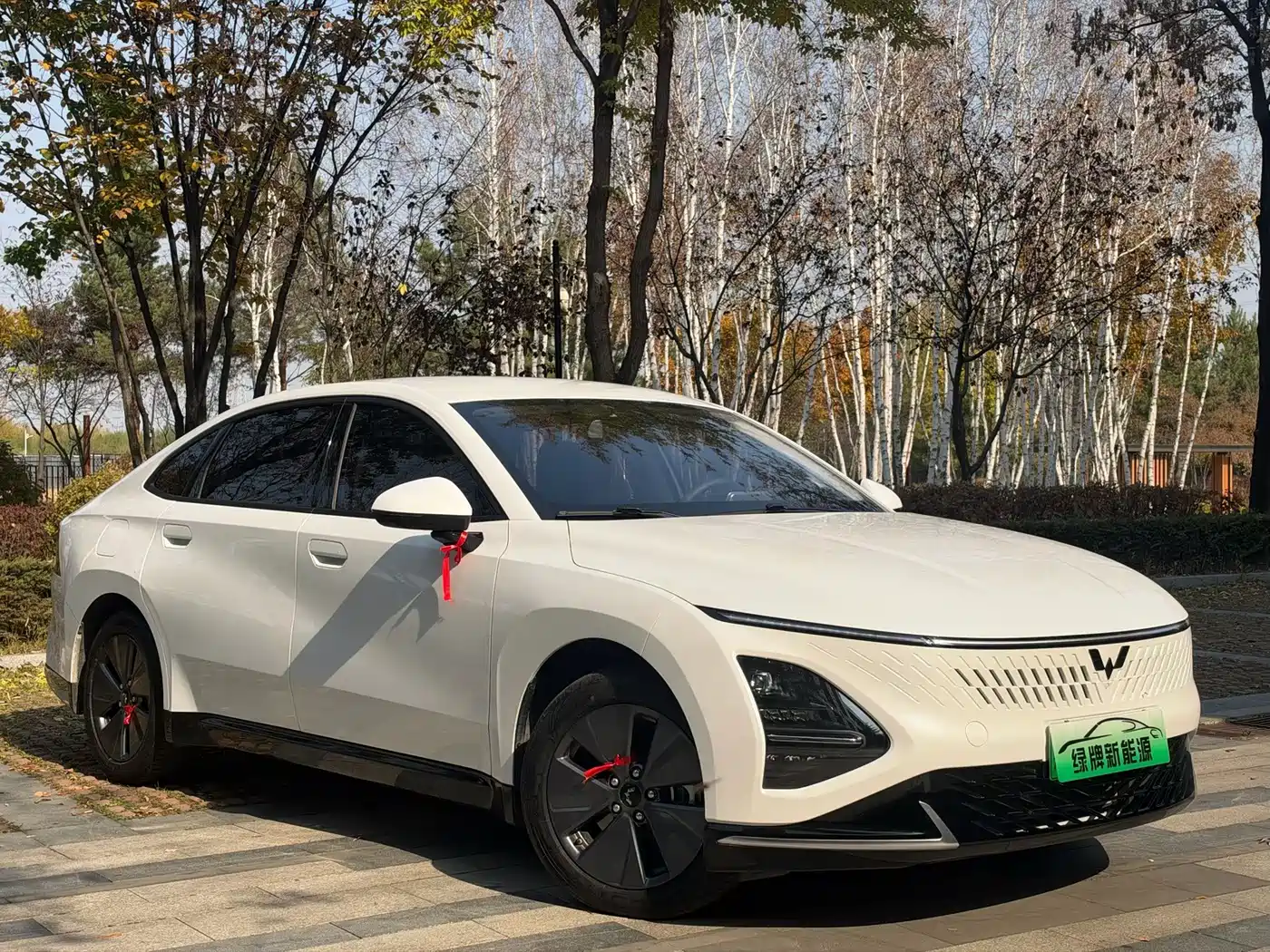 Similar car