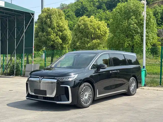 Voyah Auto Voyah Dreamer 2024