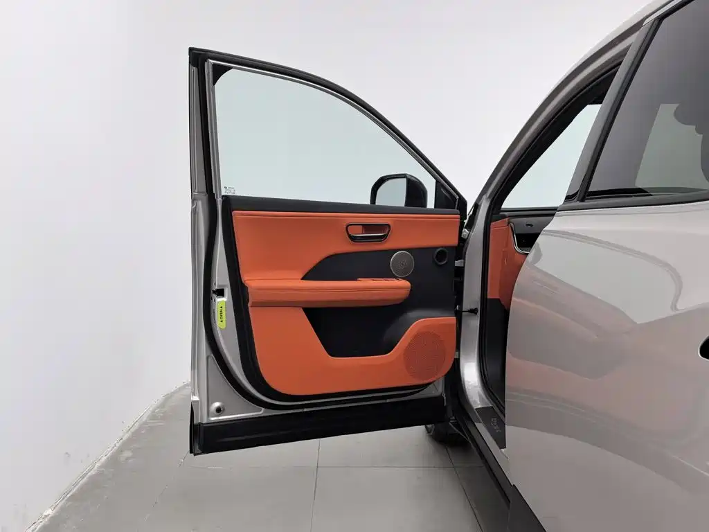 Фото 8 - Toyota BoZhi 3X