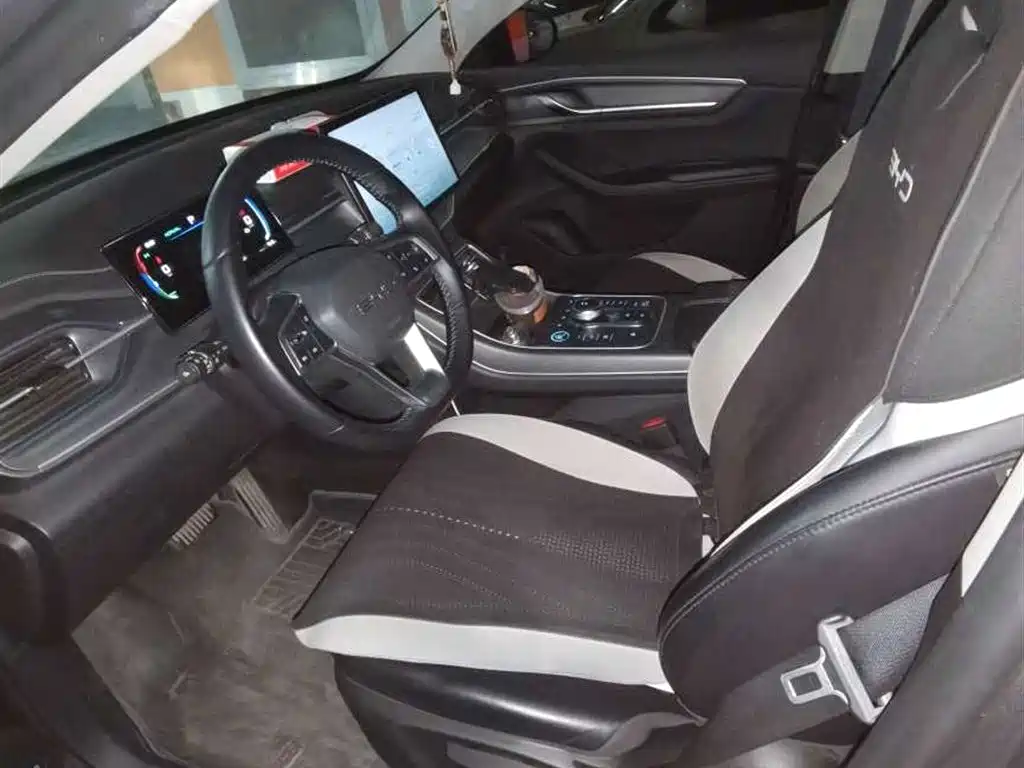 BYD Destroyer 05 2024 Glory Edition DM-i 55KM Luxury фото 7