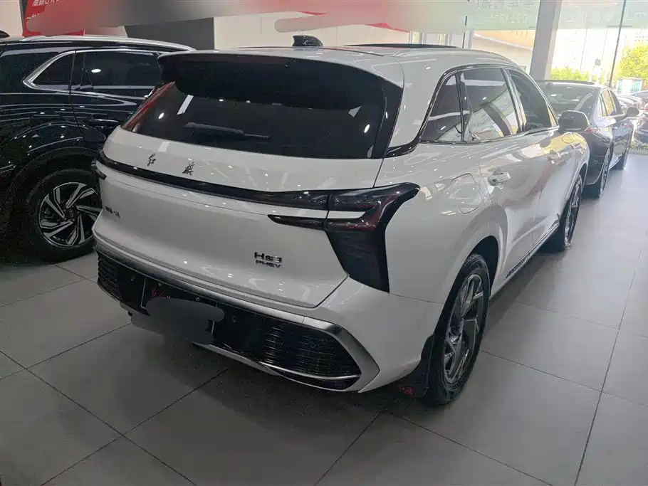 Hongqi HS3 PHEV 2024 PHEV 115km Power Edition фото 3