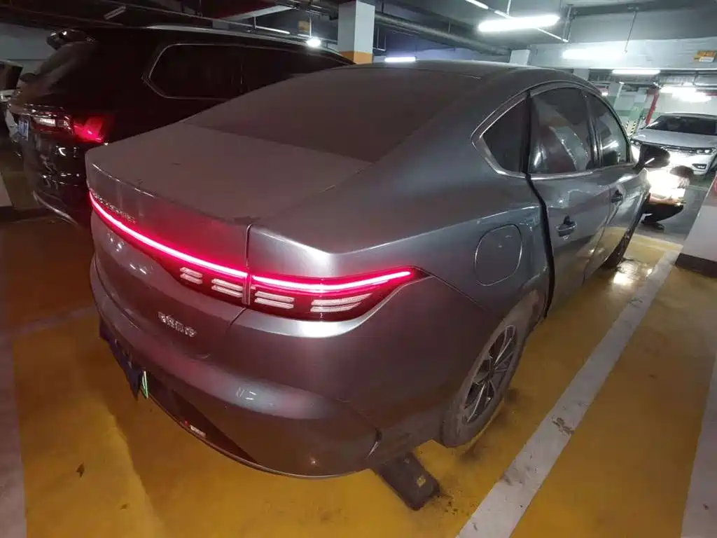 BYD Destroyer 05 2024 Glory Edition DM-i 55KM Luxury фото 12