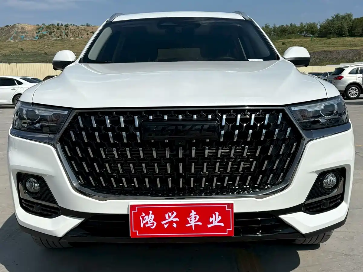 Haval H6 2023 National Trend Edition 1.5T Automatic Champion фото 2