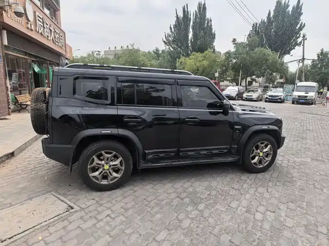 Jetour Traveler 2024 2.0T AWD Yueye PRO — фото 4