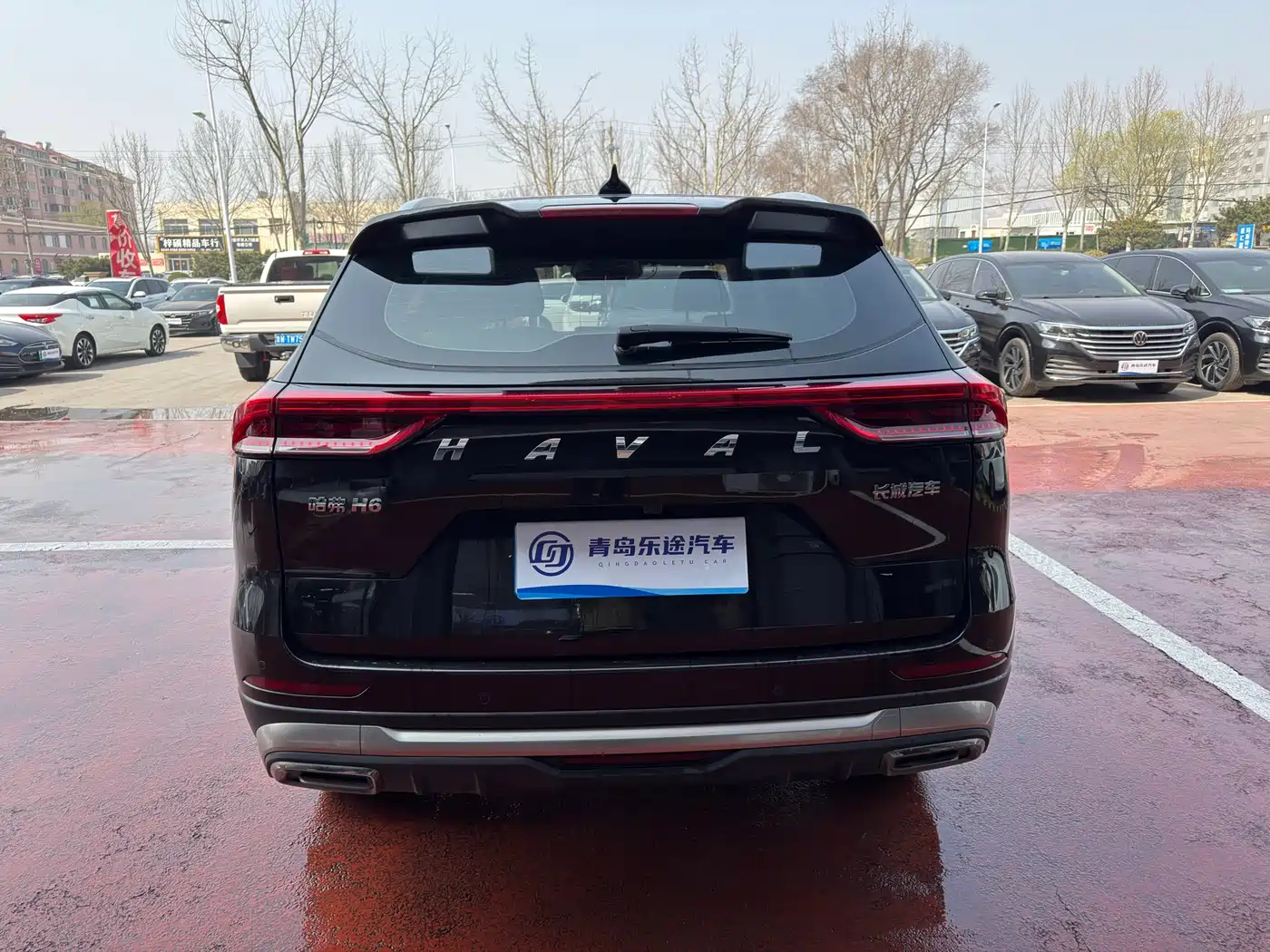 Haval H6 2023 National Trend Edition 1.5T Automatic Champion фото 5