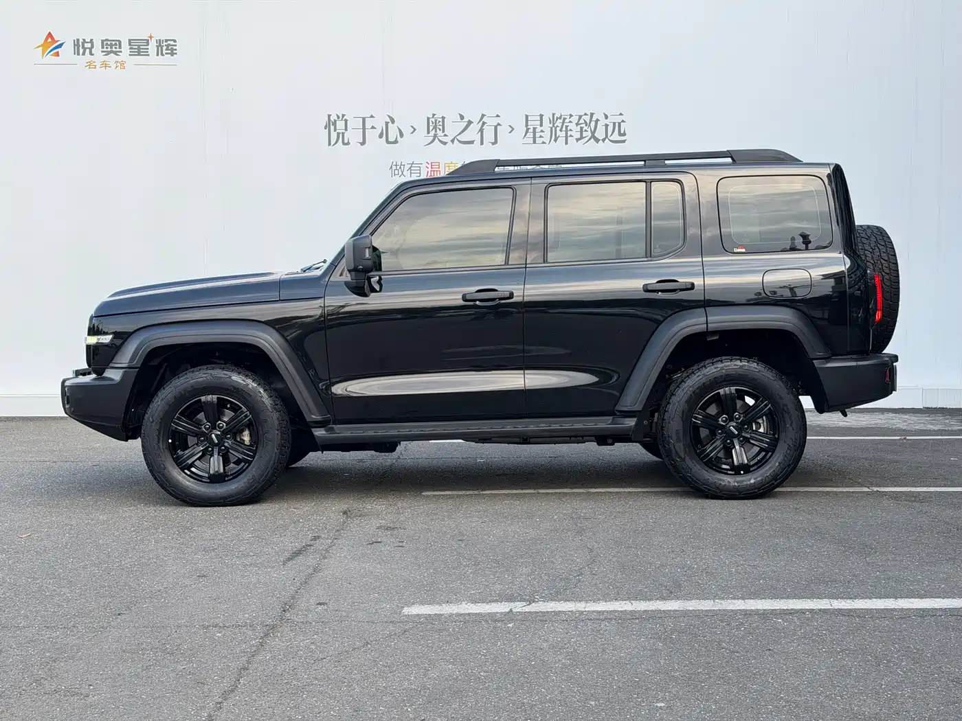 Tank 300 2021 Off-road Version 2.0T Conqueror фото 3