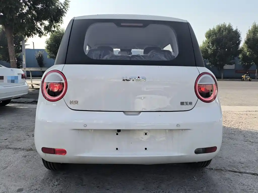 Changan Lumin 2026 2026 Model 205km Treasure Edition