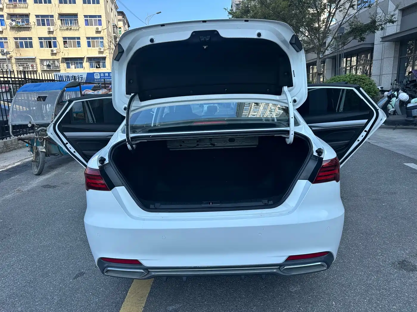 Фото 10 - Geely Binrui