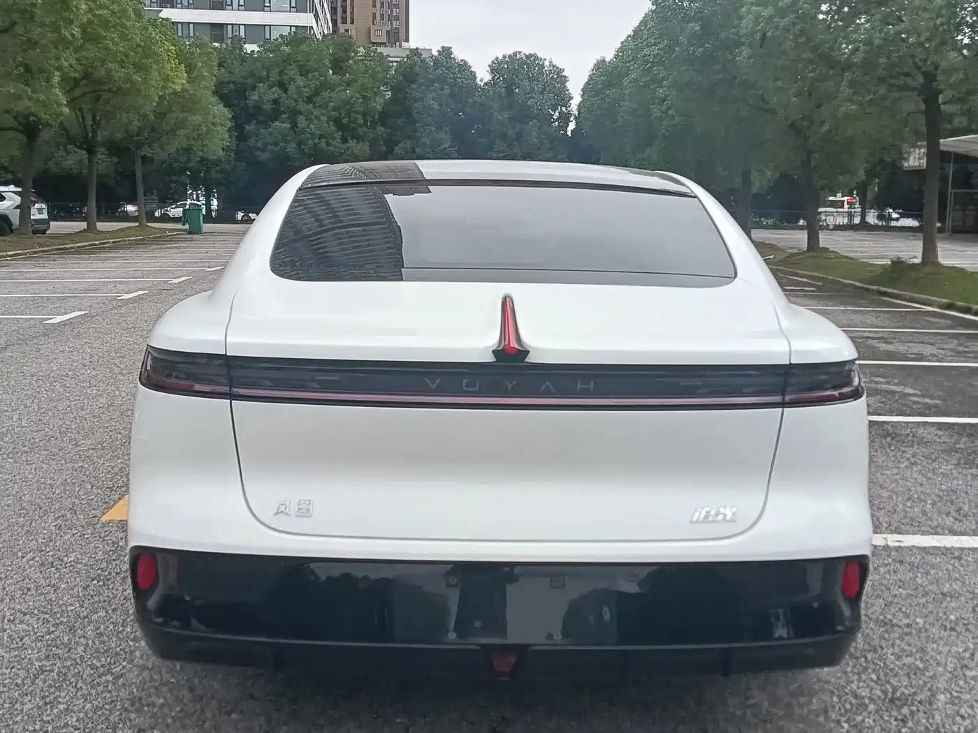Voyah Passion 2025 2024 PHEV AWD Ultra Long Range Flagship