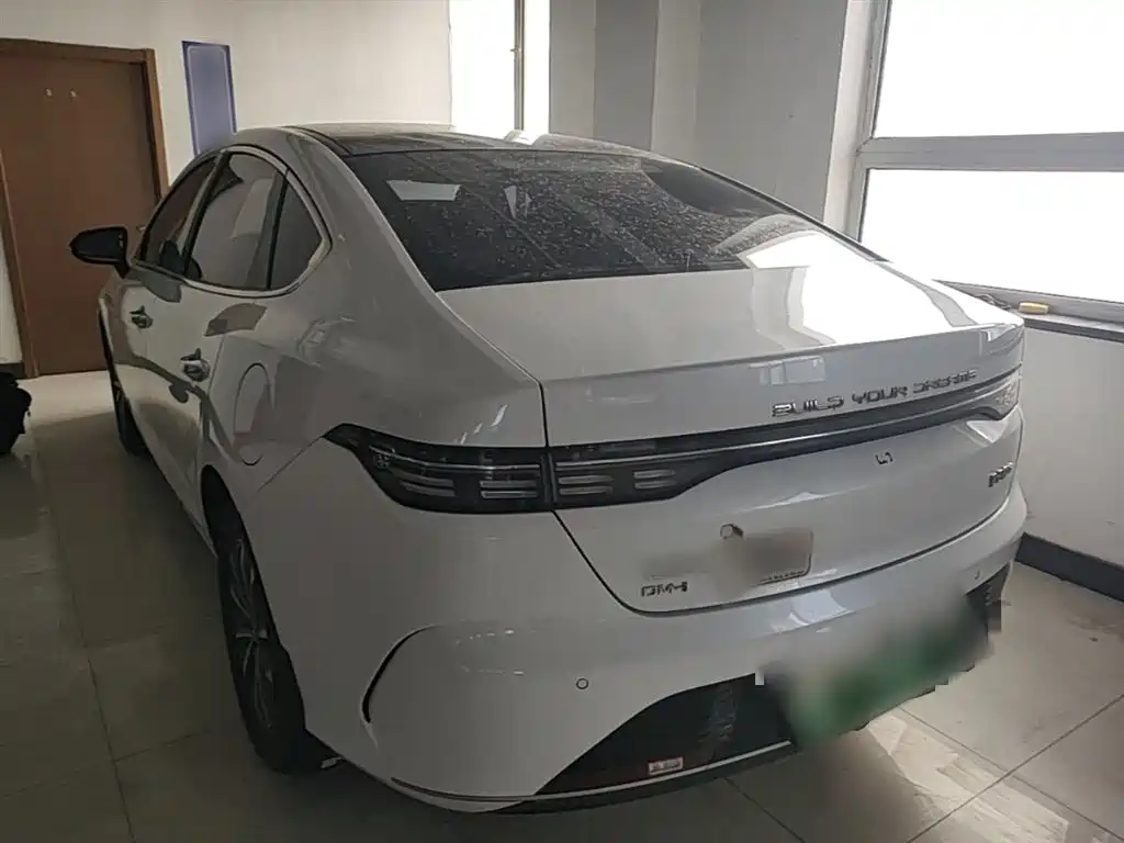 BYD Destroyer 05 2023 Champion Edition DM-i 55KM Luxury фото 5