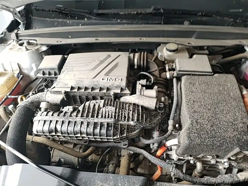 BYD Destroyer 05 2023 Champion Edition DM-i 55KM Luxury фото 20