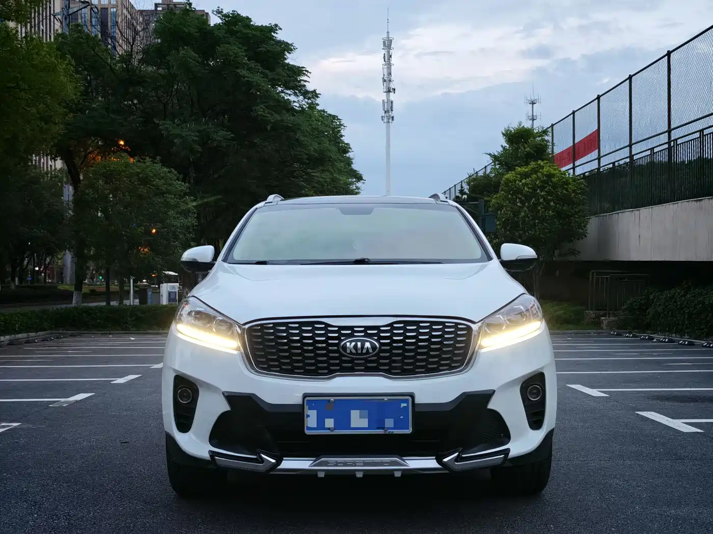 Kia Sorento 2018 Sorento L 2.0T Diesel 2WD Luxury Edition 5-Seater фото 2