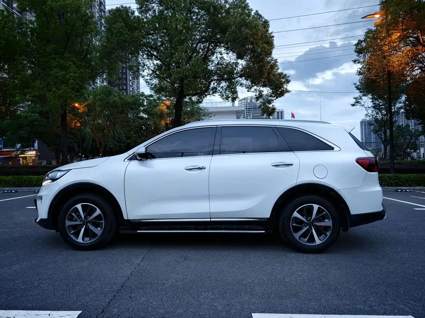 Kia Sorento 2018 Sorento L 2.0T Diesel 2WD Luxury Edition 5-Seater фото 12