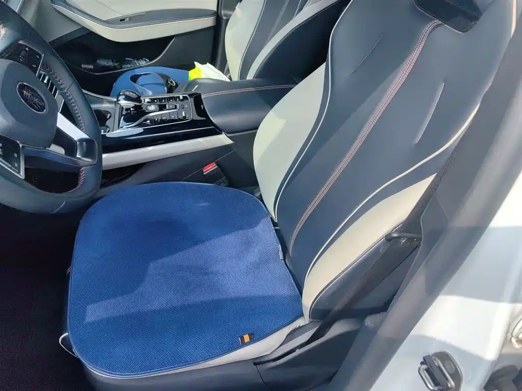 BYD Qin PLUS 2021 DM-i 55KM Flagship фото 12