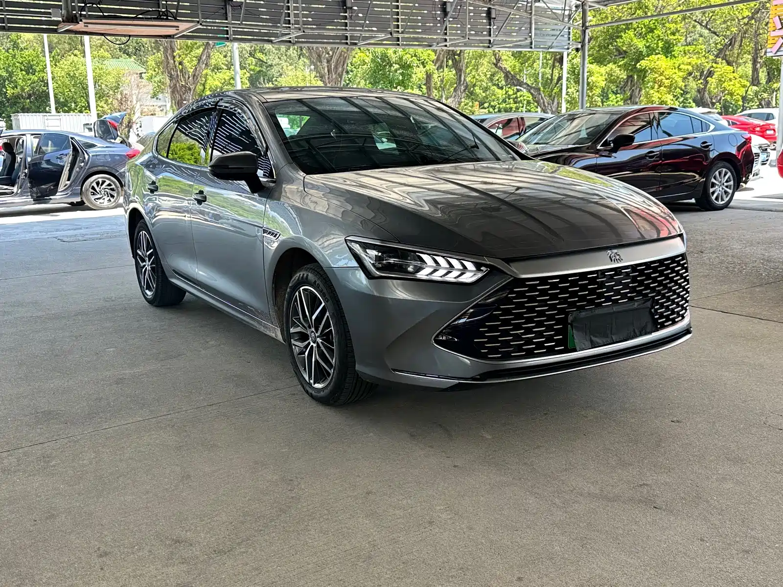 Фото 2 - BYD Qin PLUS