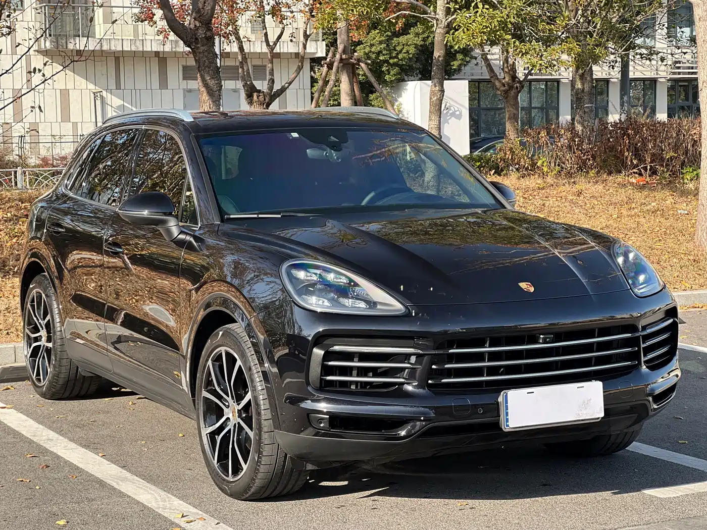 Porsche Cayenne 2022 Cayenne 3.0T Platinum Edition фото 3