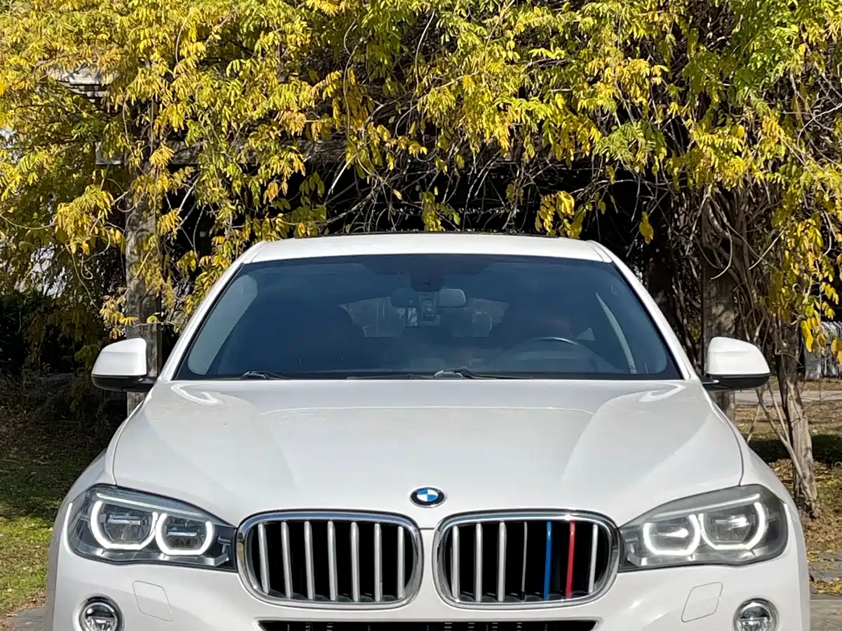 BMW X6 2017 xDrive35i Luxury фото 2