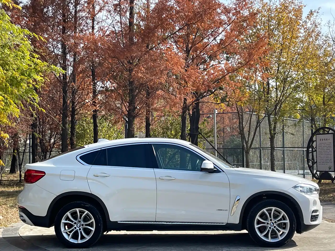 BMW X6 2017 xDrive35i Luxury фото 4