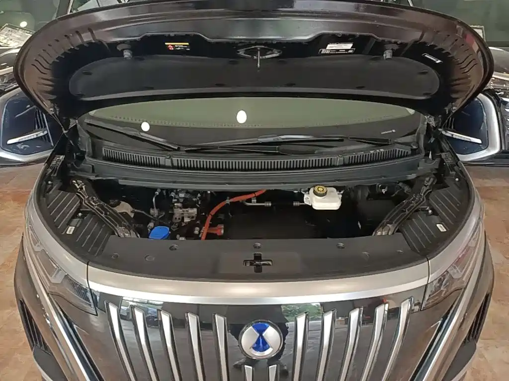 Denza D9 2023 2022 EV 620 Premium
