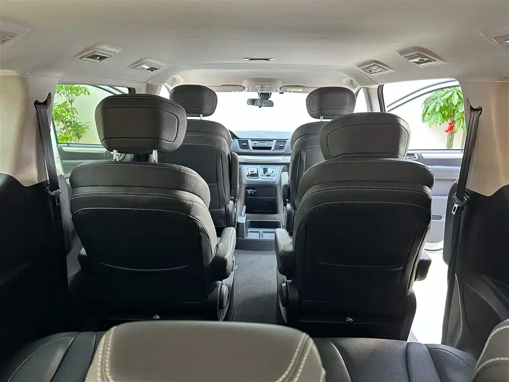 SAIC MAXUS CHASE G20