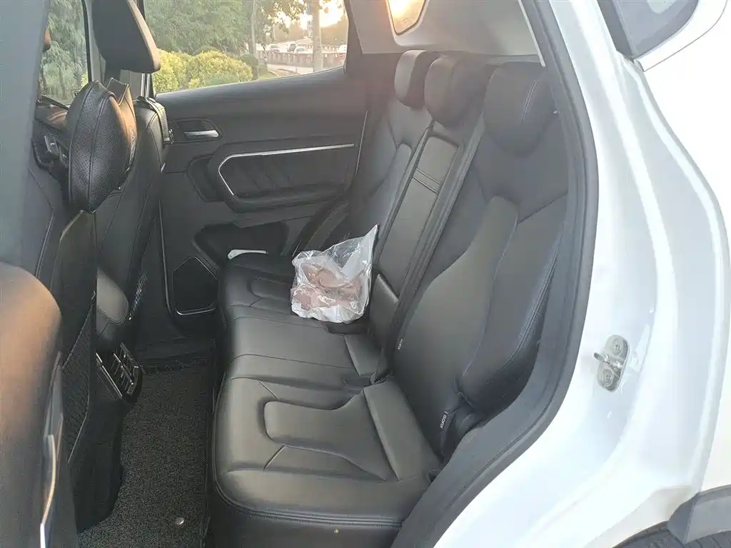Haval H6 2017 Red Label 2.0T Auto 2WD Smart фото 13