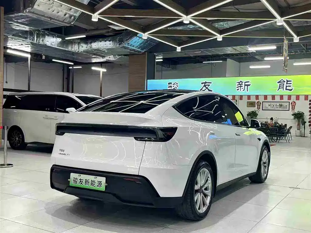 Tesla Model Y 2025 Long Range All-Wheel Drive фото 5