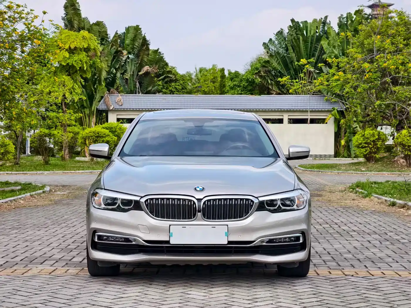 BMW 5 Series 2019 525Li Luxury Package фото 2