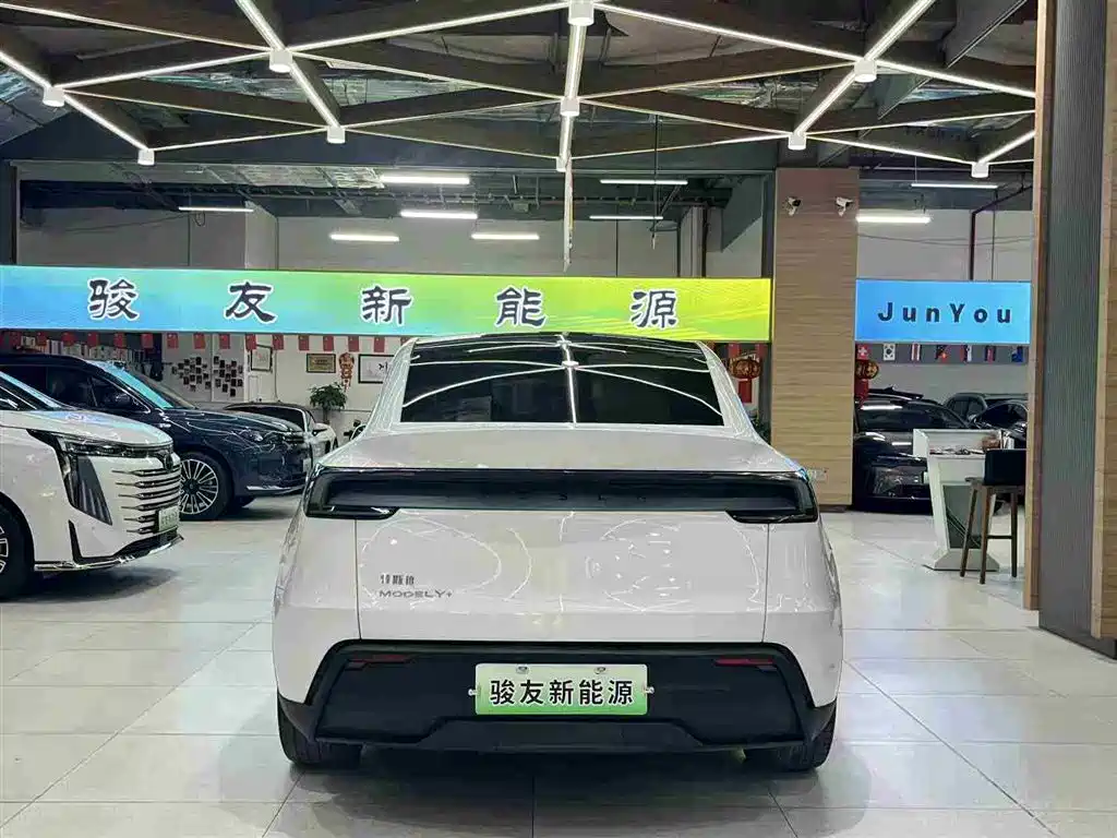 Tesla Model Y 2025 Long Range All-Wheel Drive фото 6
