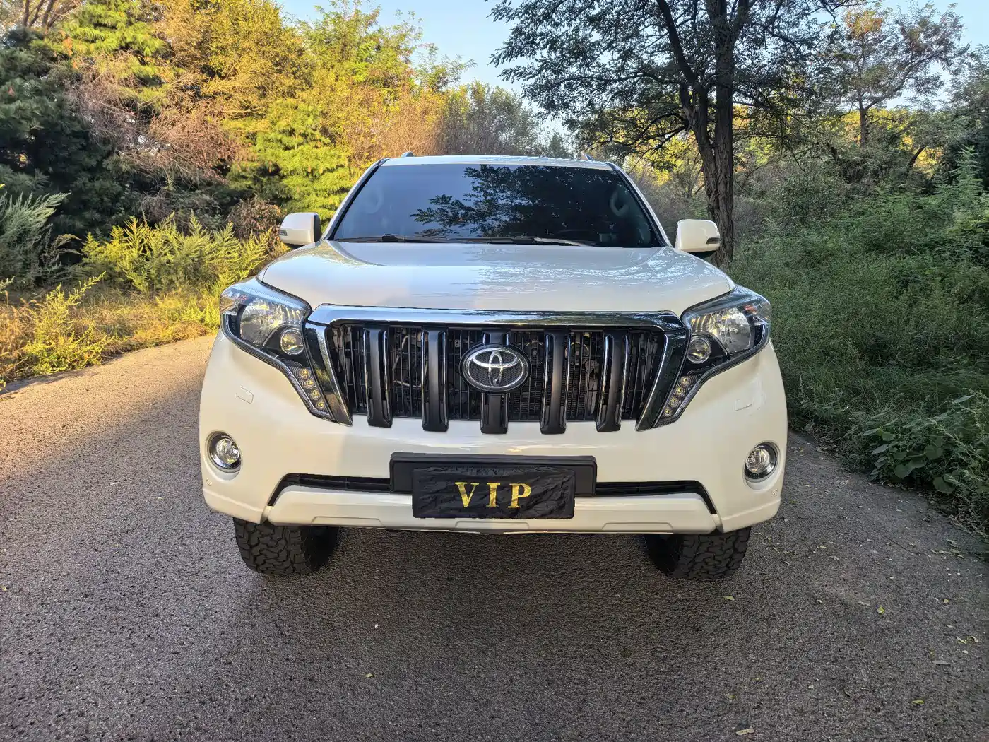 Toyota Prado 2019 2019 3.5L Automatic TX-L Zunxiang Edition