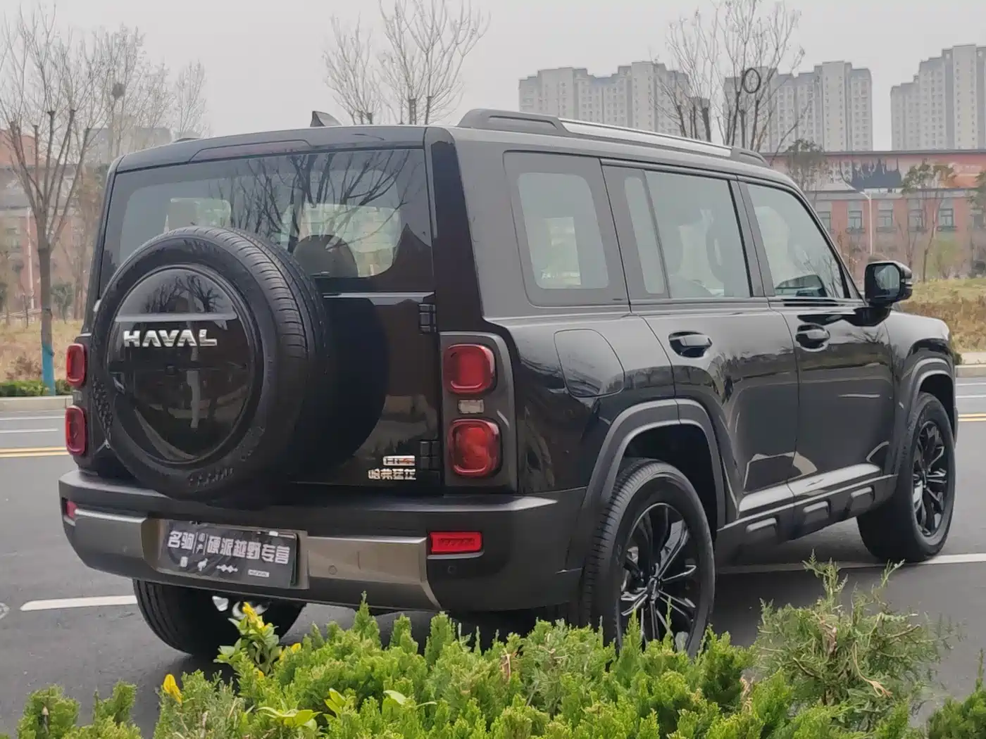 HAVAL RAPTORS NEW ENERGY