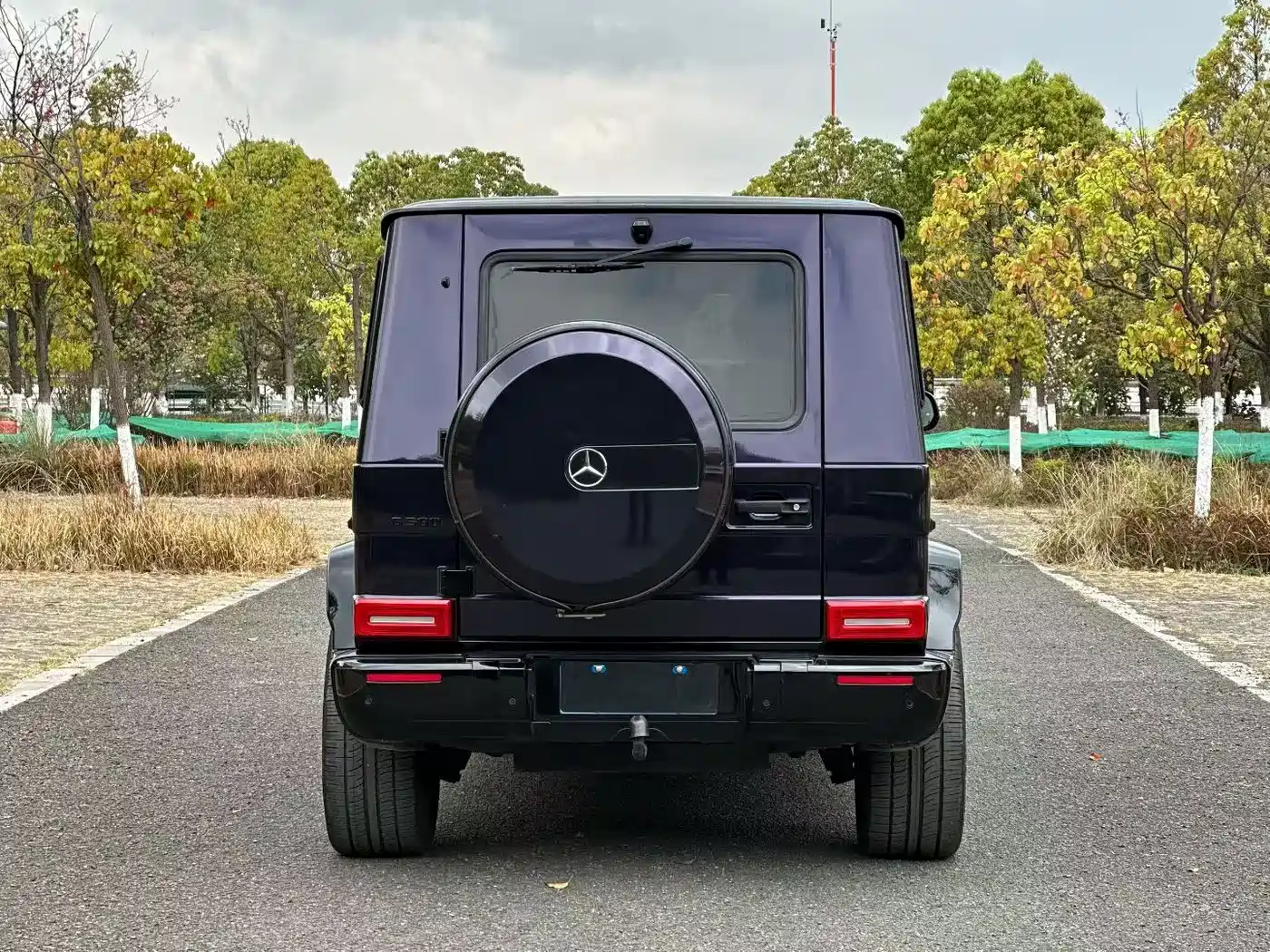 Mercedes-Benz G-Class 2017 G 500 фото 3