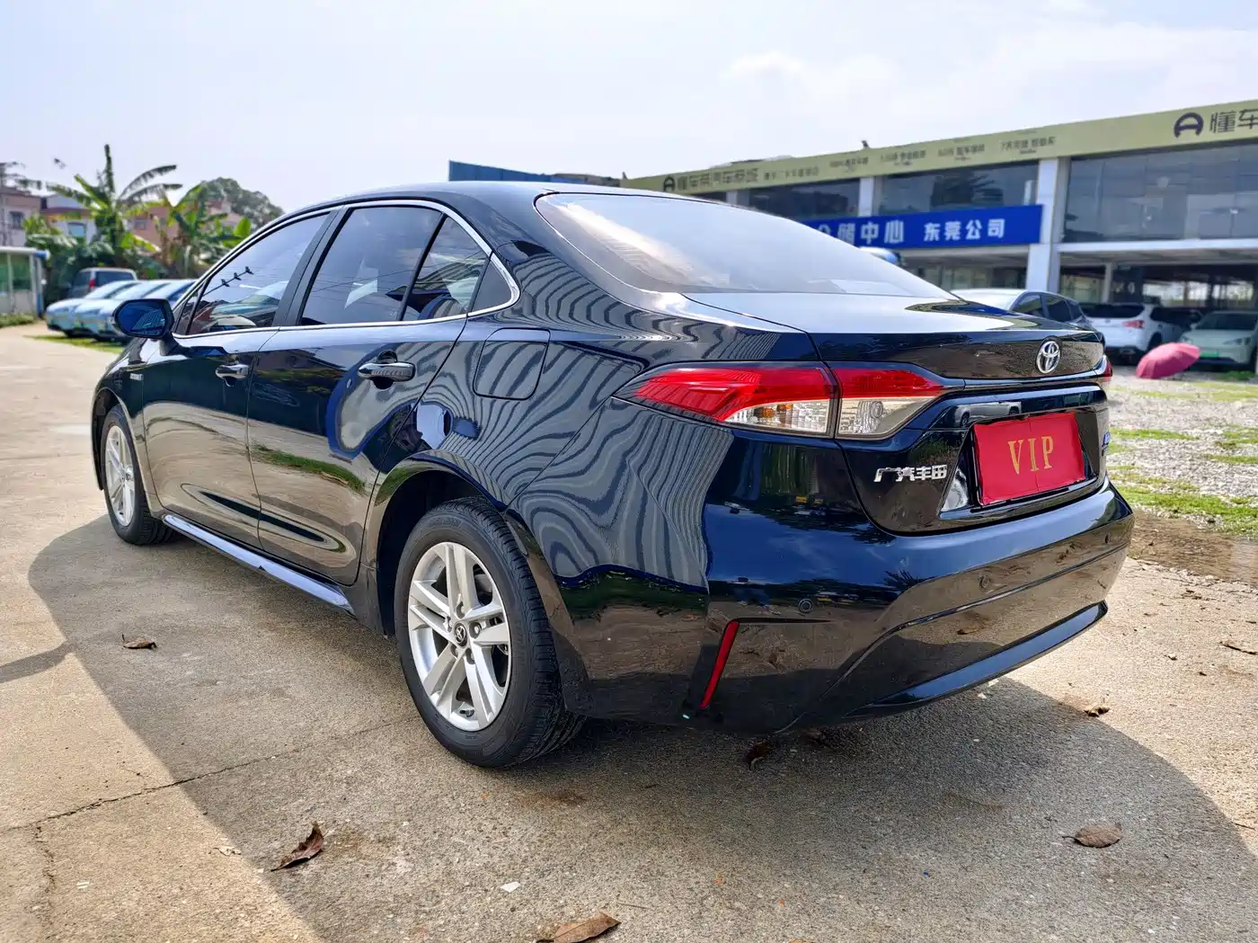 Toyota Levin 2019 Dual Engine 1.8H E-CVT Luxury Edition China V фото 6