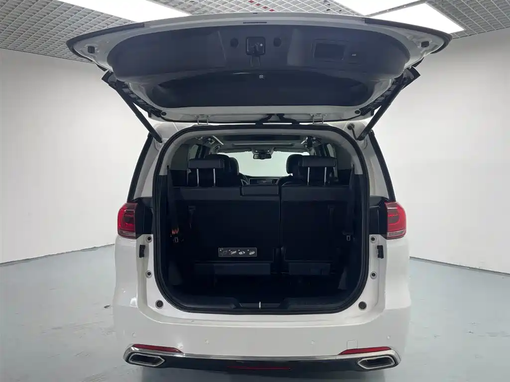 GAC Trumpchi Trumpchi M8 2019 320T Ultimate Edition фото 10