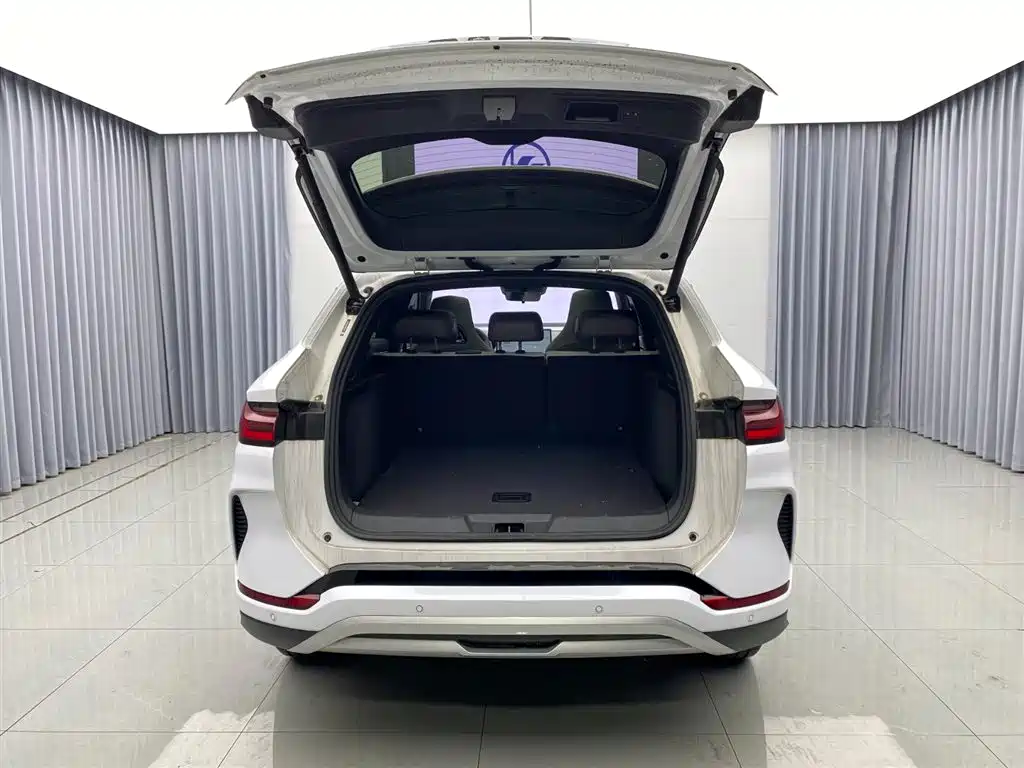 BYD SONGJIANG NEW ENERGY